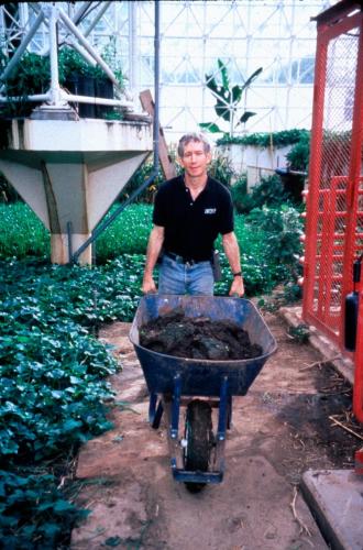 During the “Victory Garden” campaign in Biosphere 2, making additional food crop areas to increase use of “sunfall”, Biosphere 2, 1991-1993.